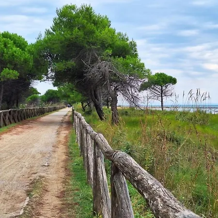 Feel At In Our Flat-beahost